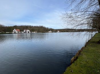 Tour Wandern Hoeilaart - De gare en gare Groenendal-Genval - Photo