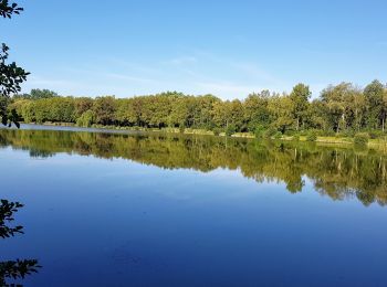 Excursión Senderismo Fère-en-Tardenois - Balade à  Fère en Tardenois 4 km - Photo