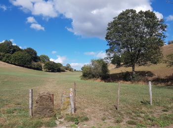 Tocht Stappen Dison - Andrimont - Verviers - Photo