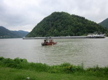 Randonnée A pied Haibach ob der Donau - Linetshuber Aussicht - Photo