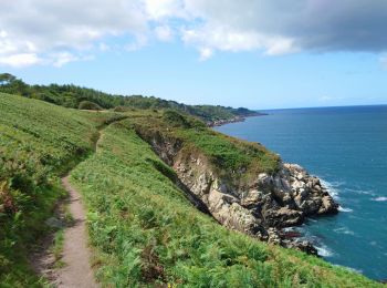 Tour Wandern Douarnenez - Douarnenez - GR34 AR les Roches Blanches Pointe de la Jument  - 9.3km 250m 3h30 - 2019 09 01 - Photo