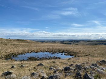 Trail Walking Saint-Urcize - Carbonade Croix de Goutal  - Photo