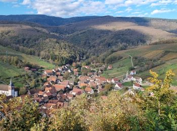 Tour Wandern Erlenbach - ARCA Albé - Photo