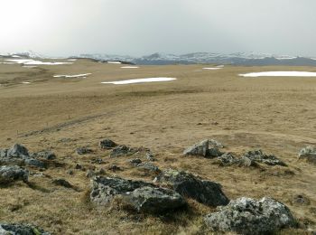 Tocht Stappen Lavigerie - Tour du plateau de Limon au dessus de Lavigerie  - Photo