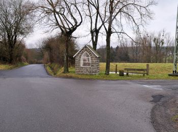 Percorso A piedi Ruppichteroth - Ruppichteroth Rundweg Rechteck - Photo