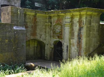 Tocht Te voet Königslutter - Zielwanderweg Reitling-Lutterspring - Photo