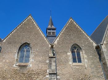 Tocht Stappen Vernou-sur-Brenne - Vernou-sur-Brenne - la Varenne GR3 GR655est - 14.3km 85m 2h45 - 2006 02 05 - Photo