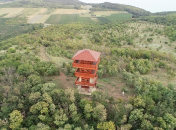 Excursión A pie Tihany - Lóczy-Gejzír tanösvény - Photo