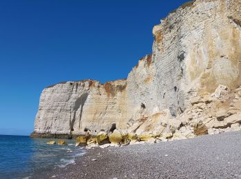 Excursión Senderismo Étretat - Etretat Antifer - Photo