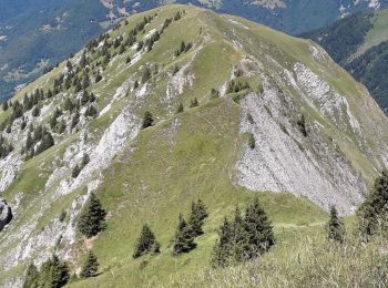 Randonnée Marche École - Pointe des Arlicots  - Photo