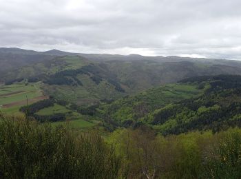 Randonnée Marche Monistrol-d'Allier - Monistrol/ Pourcheresse par le GR 470 - Photo