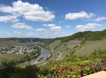 Randonnée Marche Leiwen - Zummeterhof 19 km - Photo