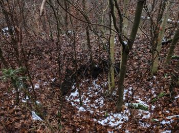 Tocht Te voet Bermatingen - Rundweg B4 - Photo