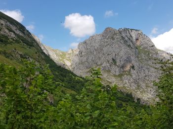 Excursión Senderismo Cabrales - 2019 08 10 Poncebos Bulnes - Photo