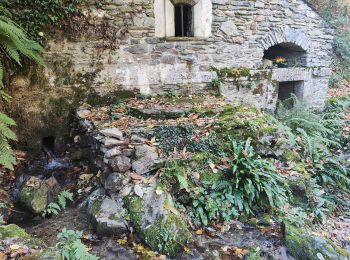 Randonnée Marche La Livinière - Source de la Cesse Guilaine  - Photo