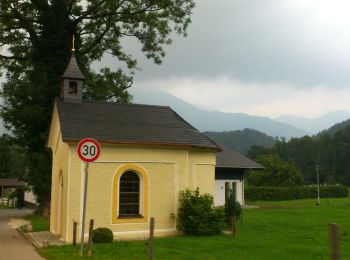 Trail On foot Marquartstein - Wanderweg 4 - Marquartstein - Hochplatte - Photo