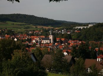 Percorso A piedi Reichelsheim (Odenwald) - Rundwanderweg Reichelsheim Teufelstein 2: Panoramaweg - Photo