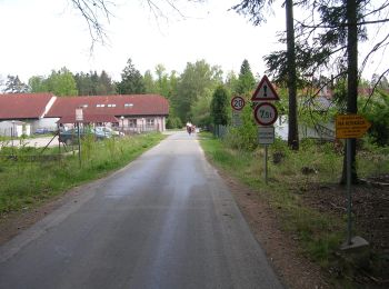 Percorso A piedi Libín - [Ž] Majdalena - Spolský rybník - Photo