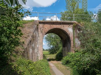 Excursión A pie Otzberg - Rundwanderweg Nieder-Klingen 2 : Ohmbuckel-Weg - Photo