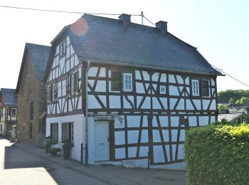 Randonnée A pied Gackenbach - Wäller Tour Buchfinkenland - Photo