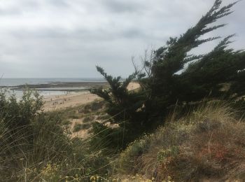 Excursión Senderismo Saint-Pierre-d'Oléron - Balade japonaise La Mimiche - Photo