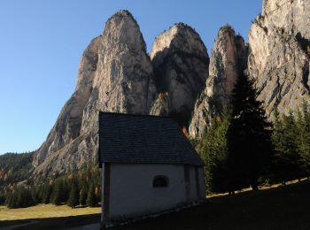 Tour Zu Fuß Wolkenstein - IT-12 - Photo