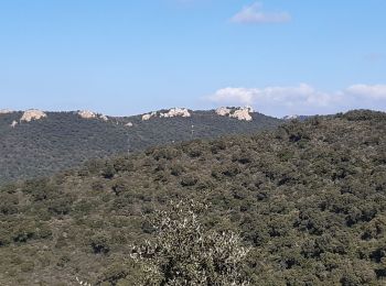 Trail Walking La Londe-les-Maures - le dolmen de Gauttabri - Photo