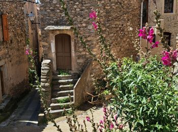 Tocht Stappen Roquebrun - Les ayrolles depuis Ceps - Photo