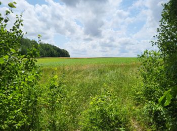 Randonnée Marche Mettet - Pontaury 210623 - Photo