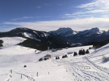 Tour Schneeschuhwandern Bellevaux - la chevrerie  - Photo