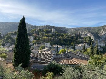 Trail Walking Oppède - PF-Oppède-le-Vieux - Sentier vigneron - Forteresse et Collégiale - Photo