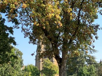 Tocht Stappen Metz - Metz Pontiffroy-Gare - Photo