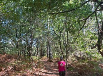 Tocht Stappen Sanguinet - Sanguinet 2 - Photo