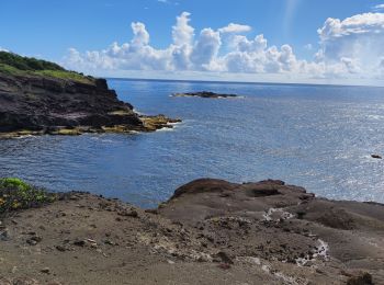 Excursión Senderismo La Trinité - Petit circuit de la caravelle. - Photo