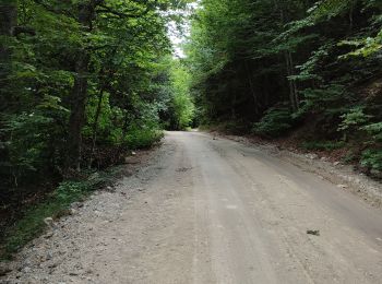 Randonnée Marche Mosset - col de jai - Photo