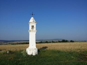 Percorso A piedi Gemeinde Mistelbach - RWW Rosental-Kuchlholz - Photo