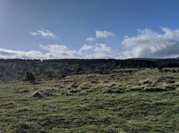 Tocht Trail Arfons - rando trail presque cheval - Photo