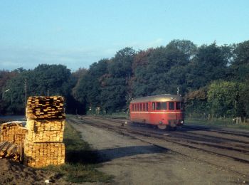 Tour Zu Fuß  - Sporet i Tersløse Skov - Photo