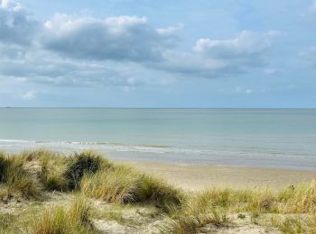 Tour Wandern Leffrinckoucke - La dune Dewulf à Leffrinckoucke - Photo