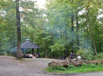 Tocht Te voet Onbekend - DE-SAV Blauer Punkt, Heslach - Vier Eichen - Photo