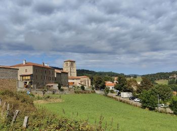 Trail Walking Verrières-en-Forez - Au dessus de Verriéres en Forez  - Photo