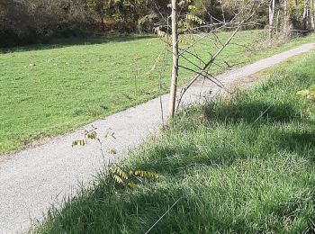 Tocht Stappen Arnaud-Guilhem - Le Lances  - Photo