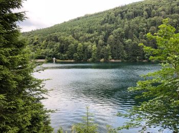 Randonnée Marche Lautenbachzell - Monument Brun-Lac du Ballon - Photo