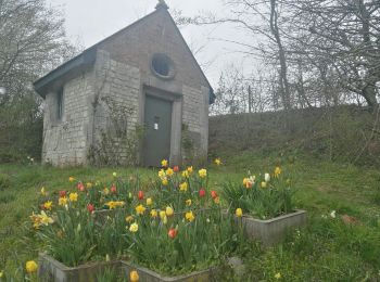 Tocht Stappen Seneffe - Rando des 4 villages  - Photo