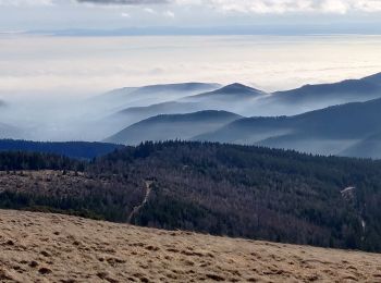 Tour Wandern Sondernach - 2020-01-02 Marche Landersen Petit Ballon - Photo