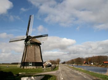 Excursión A pie Schagen - Burgerbrug groen 4,9 km - Photo