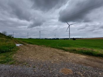 Randonnée Marche Messancy - Marches d'été 2021. Hondelange - Photo