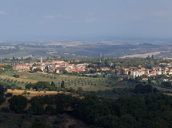 Randonnée A pied San Quirico d'Orcia - Poggio Grande - Photo