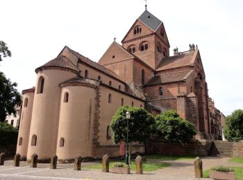 Tour Zu Fuß Neuweiler - Croix bleu - Photo