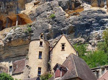 Percorso Bicicletta elettrica Castelnaud-la-Chapelle - Dordogne - Château des Milandes La Roque Gageac - Photo